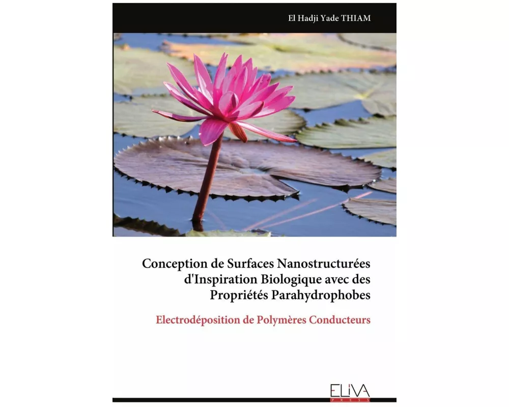 Conception de Surfaces Nanostructurées d'Inspiration Biologique avec des Propriétés Parahydrophobes
