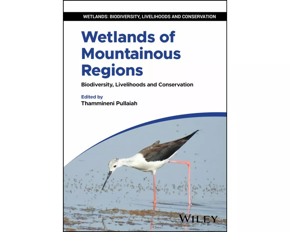 Wetlands of Mountainous Regions