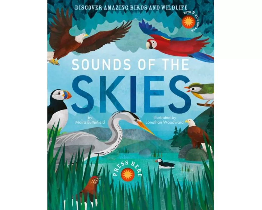 Sounds of the Skies