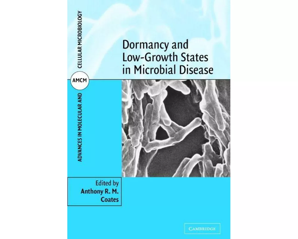 Dormancy and Low Growth States in Microbial Disease