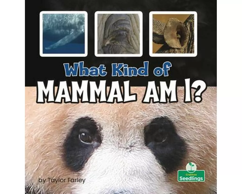What Kind of Mammal Am I?
