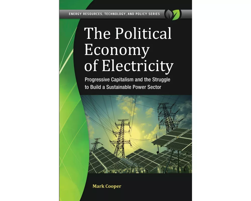 The Political Economy of Electricity