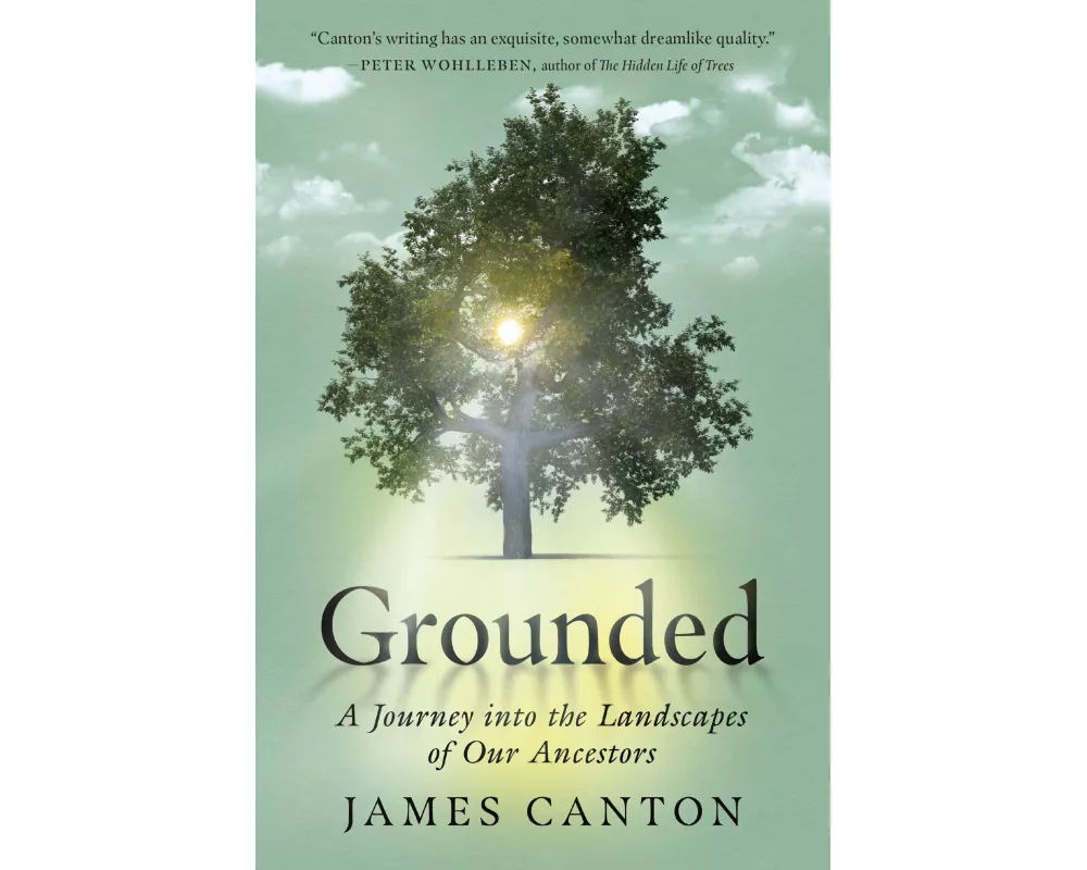 Grounded