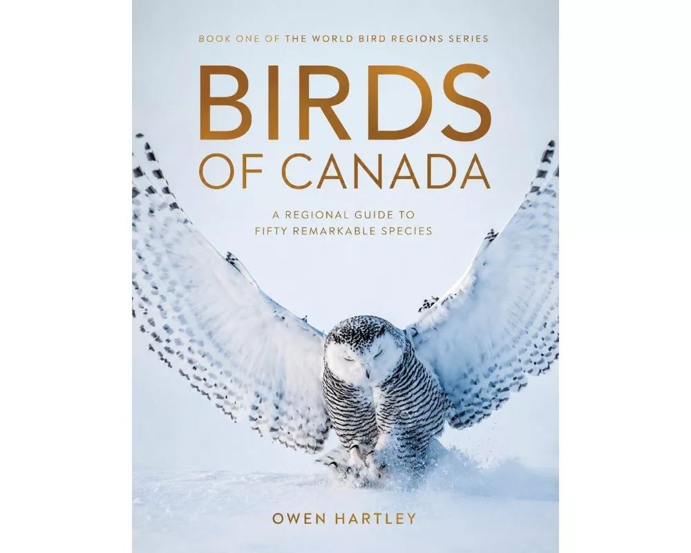 Birds Of Canada