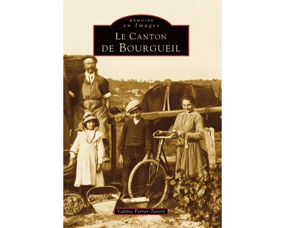 Bourgueil (Canton de)