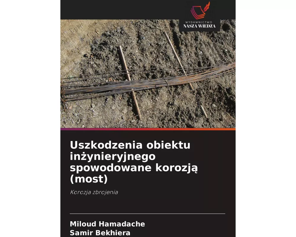 Uszkodzenia obiektu in¿ynieryjnego spowodowane korozj¿ (most)