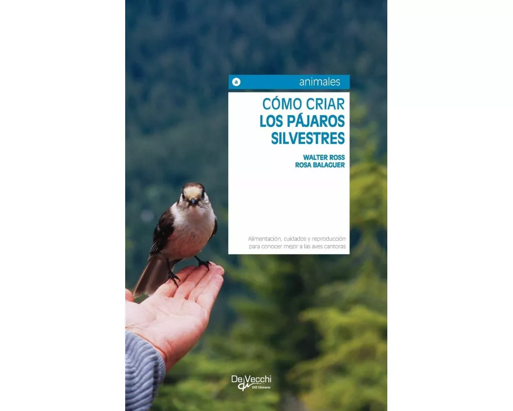 Cómo criar los pájaros silvestres