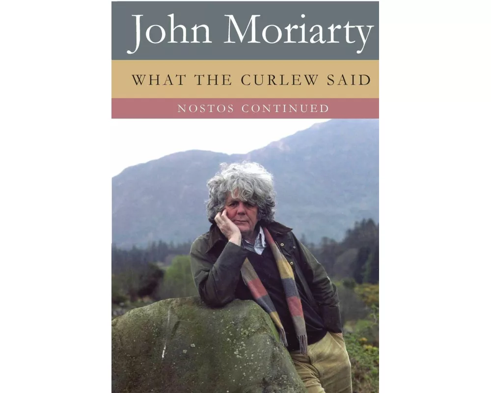 What The Curlew Said - Nostos Continued