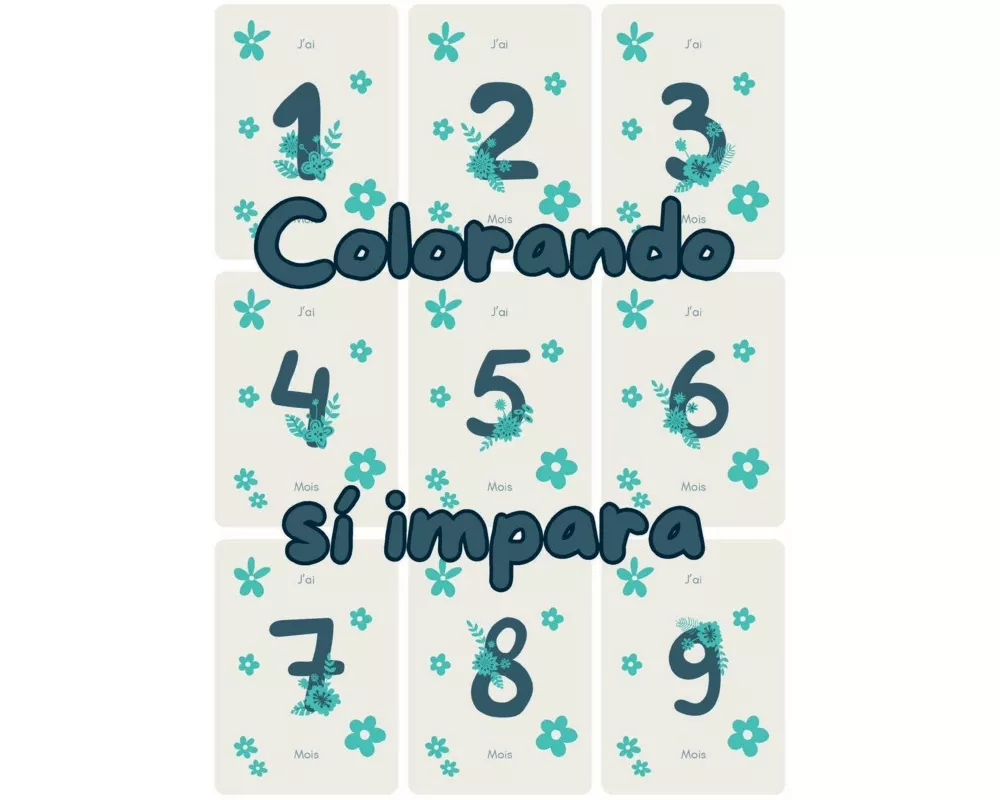 Colorando si impara