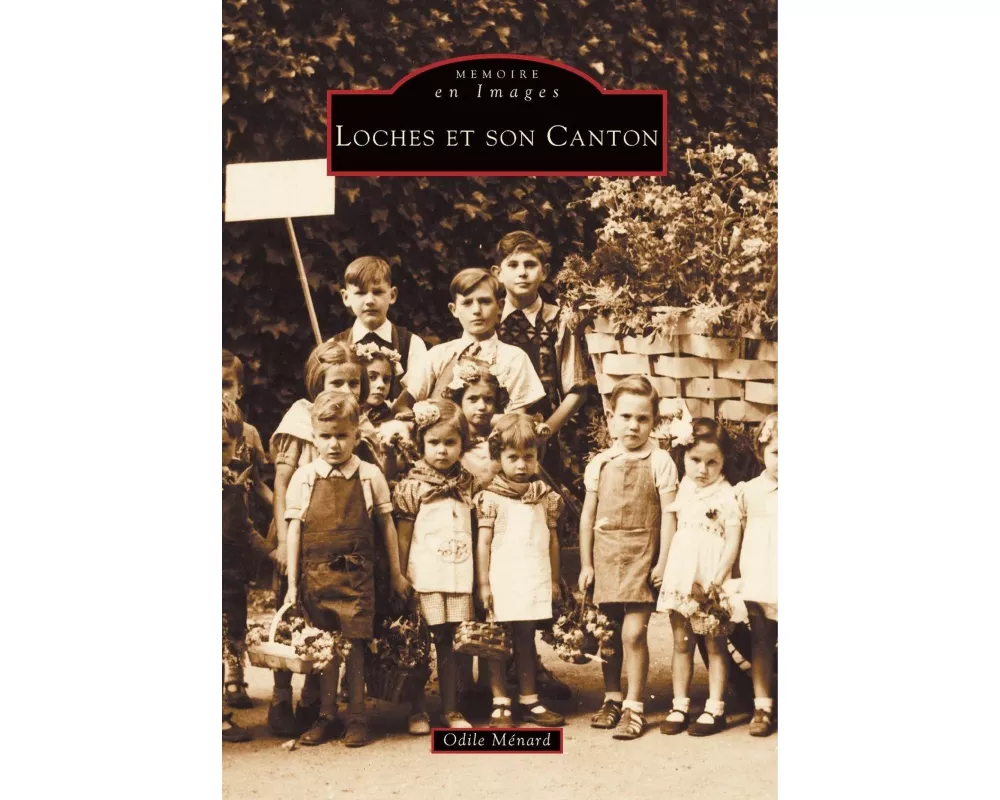 Loches et son canton