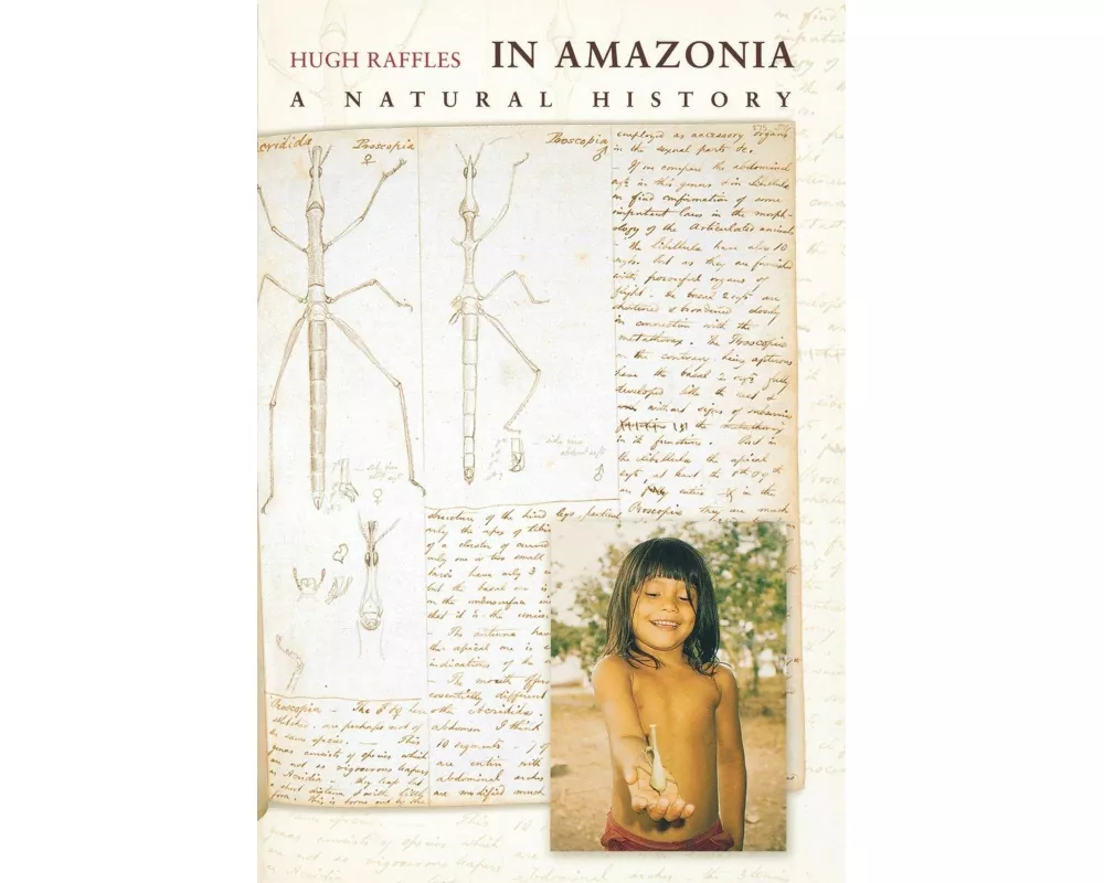 In Amazonia