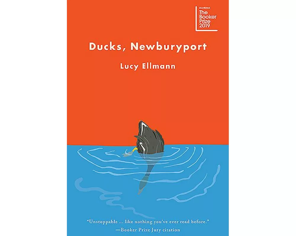 Ducks, Newburyport
