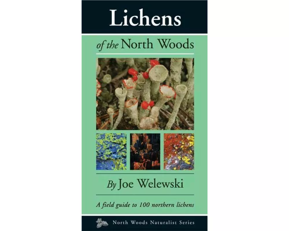Lichens of the North Woods