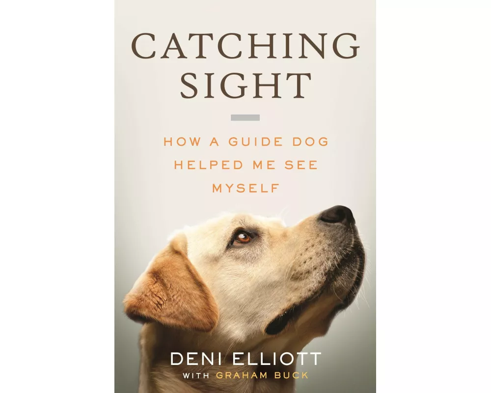 Catching Sight