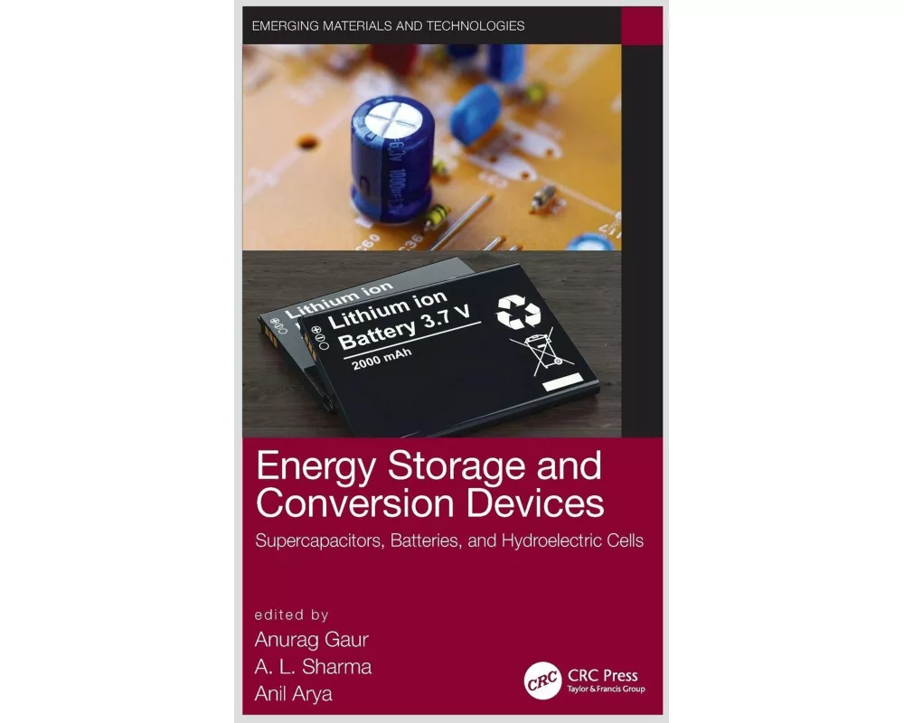 Energy Storage and Conversion Devices