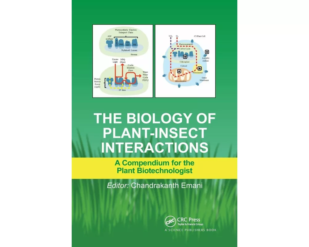 The Biology of Plant-Insect Interactions