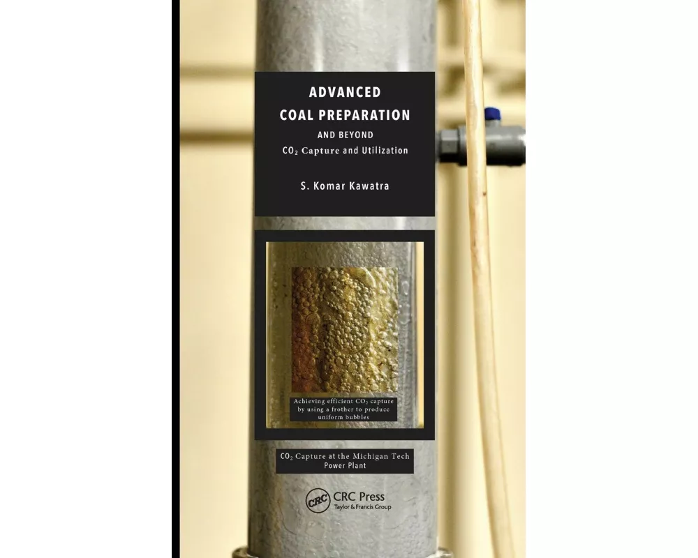 Advanced Coal Preparation and Beyond