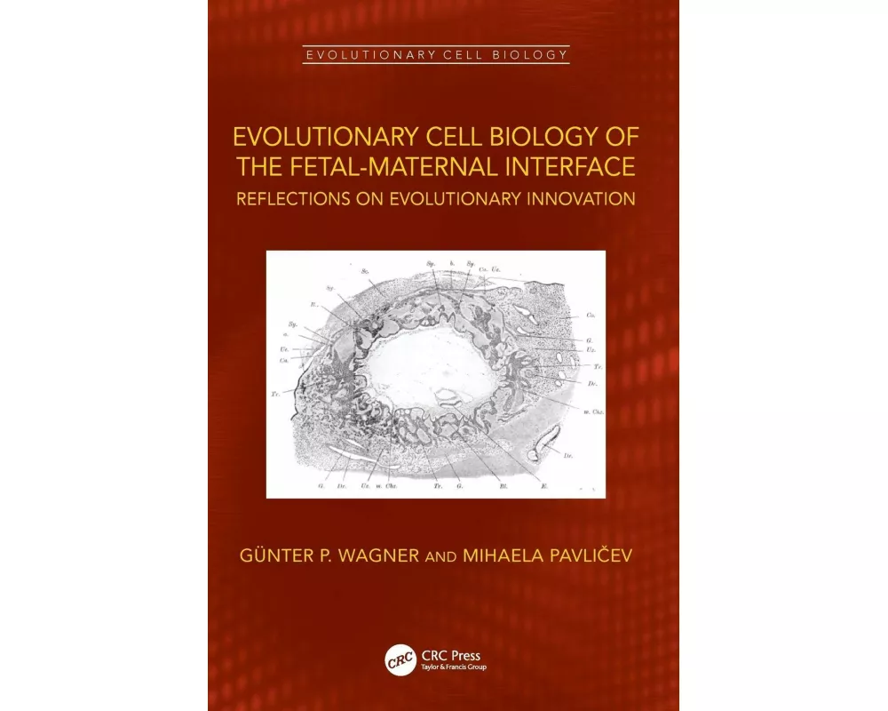 Evolutionary Cell Biology of the Fetal-Maternal Interface