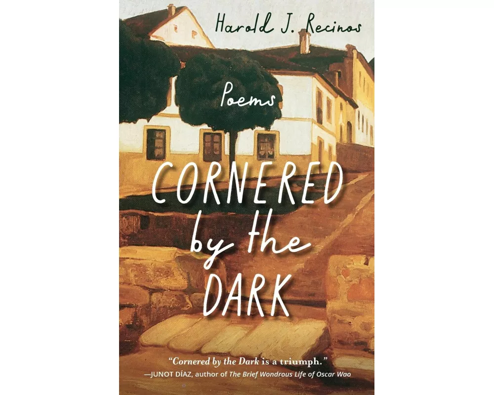 Cornered by the Dark