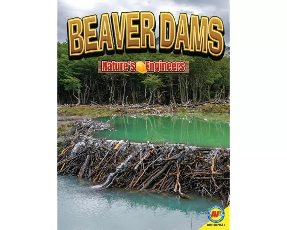 Beaver Dams