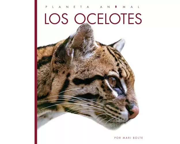 Los Ocelotes