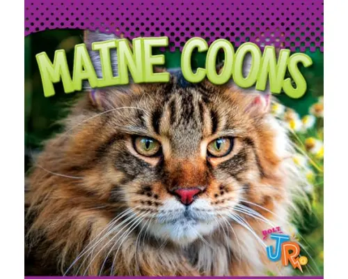 Maine Coons