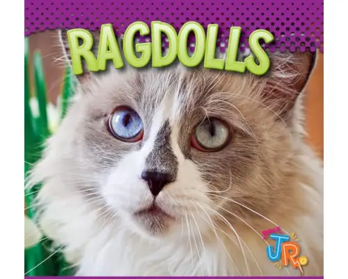 Ragdolls