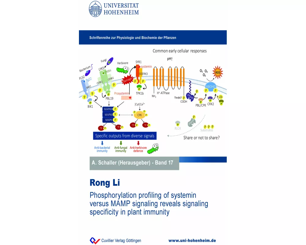 Phosphorylation profiling of systemin versus MAMP signaling reveals signaling specificity in plant immunity