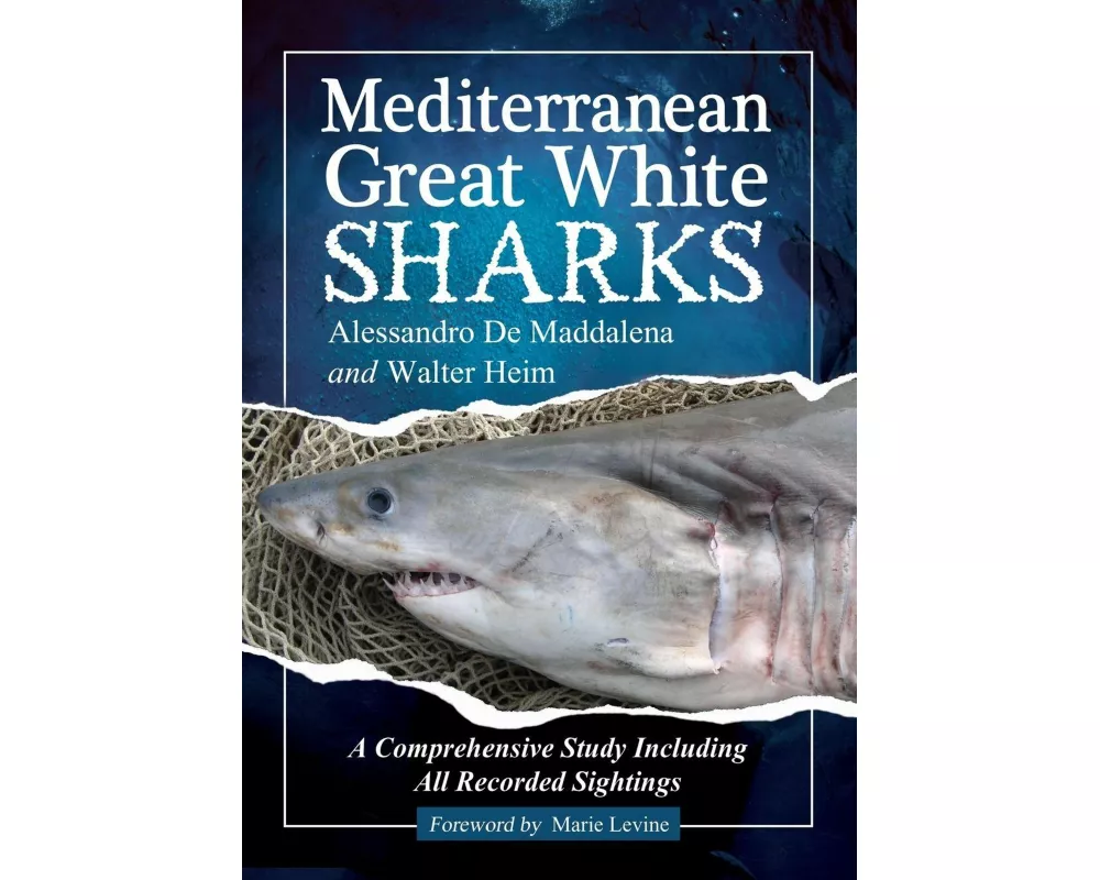 Mediterranean Great White Sharks