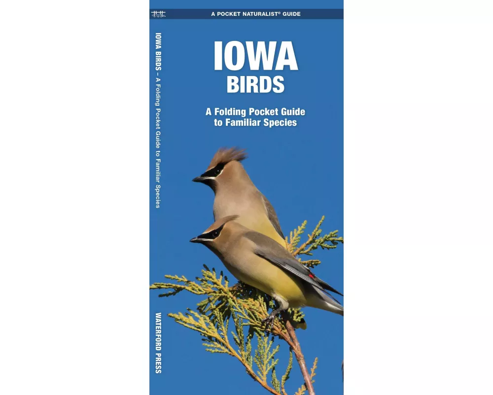 Iowa Birds