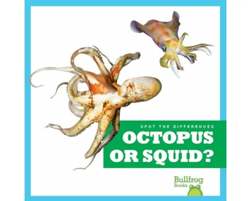 Octopus or Squid?