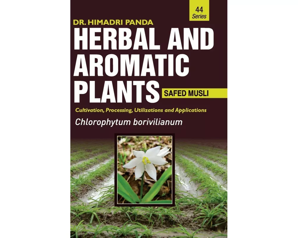 HERBAL AND AROMATIC PLANTS - 44. Chlorophytum borivilianum (Safed musli)