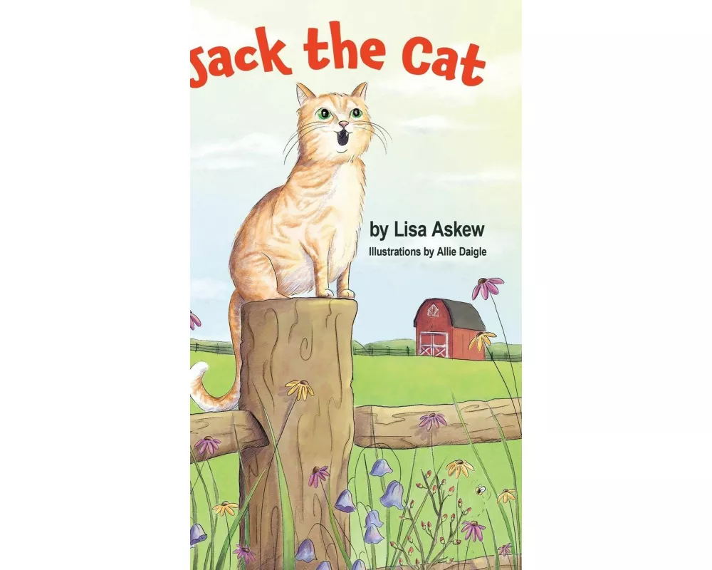 Jack the Cat
