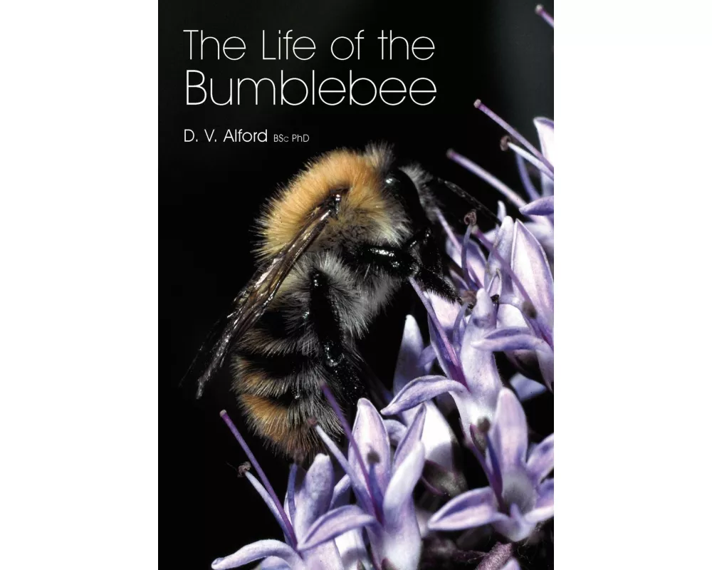 The Life of the Bumblebee