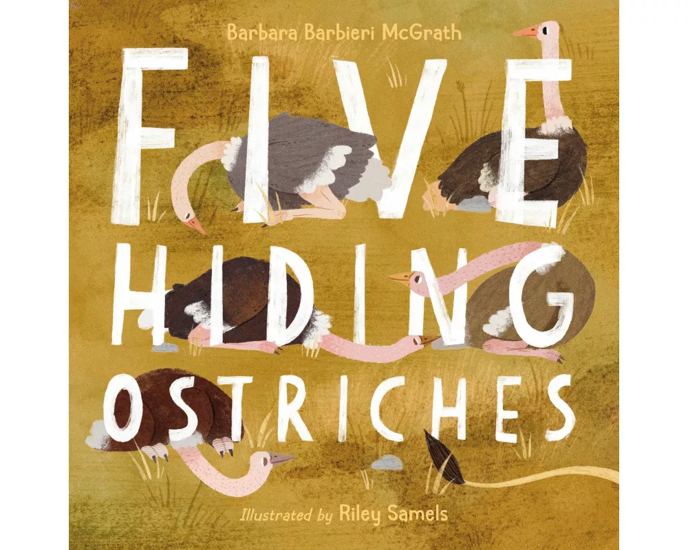 Five Hiding Ostriches