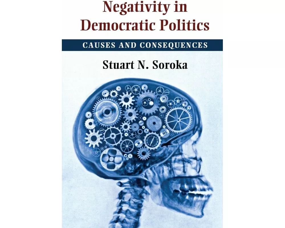 Negativity in Democratic Politics