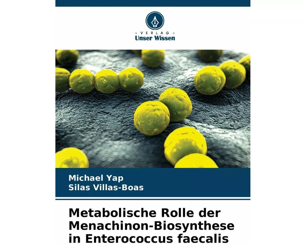 Metabolische Rolle der Menachinon-Biosynthese in Enterococcus faecalis