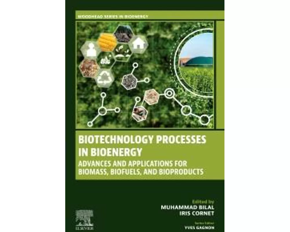Biotechnology Processes in Bioenergy