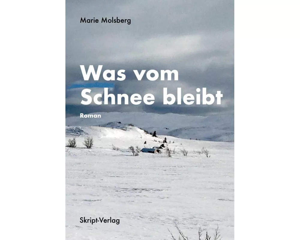 Was vom Schnee bleibt