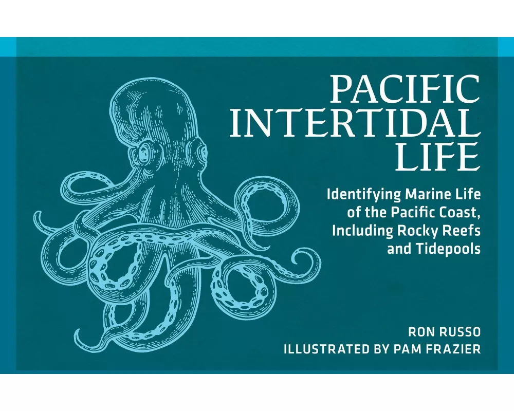 Pacific Intertidal Life