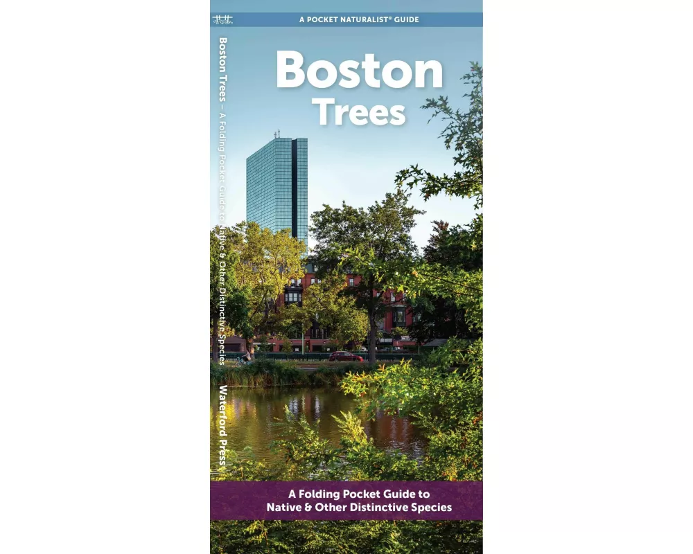 Boston Trees