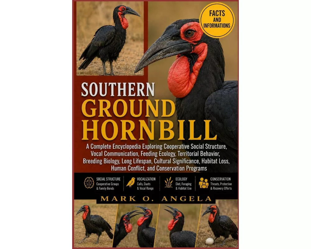 Southern Ground Hornbill
