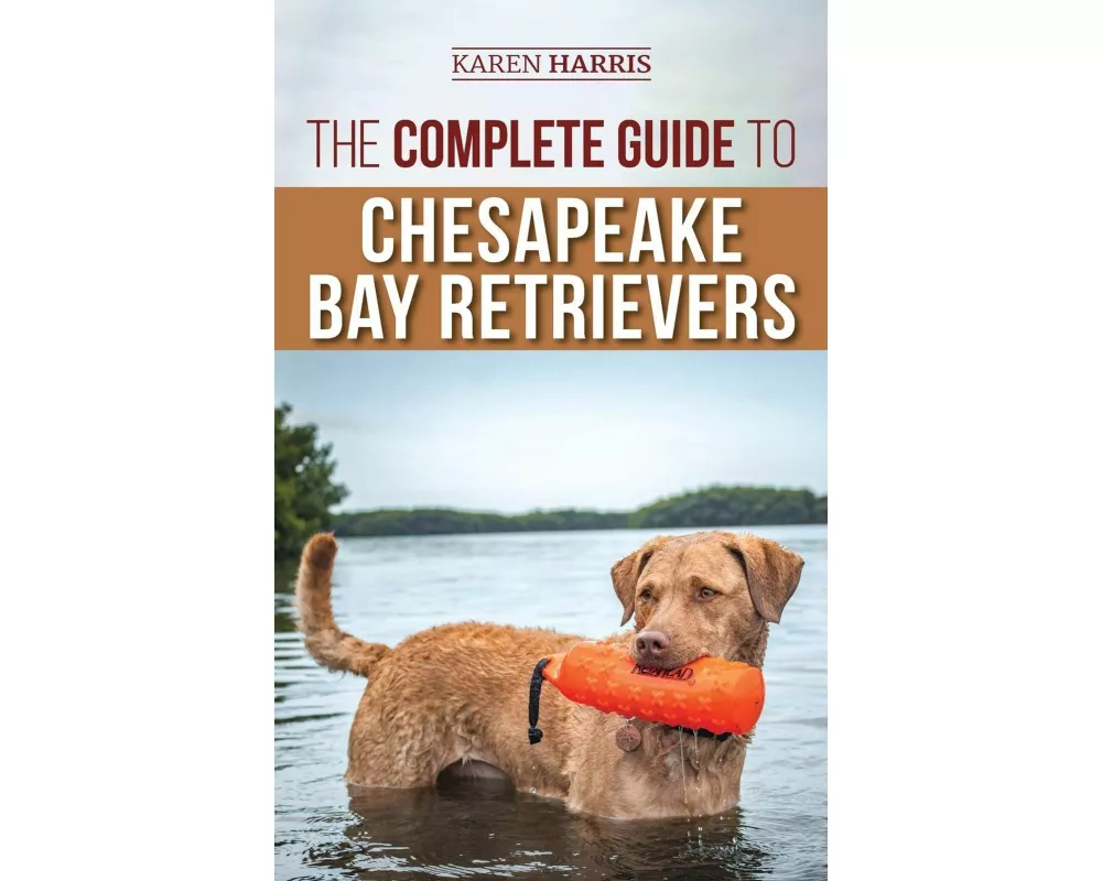 The Complete Guide to Chesapeake Bay Retrievers