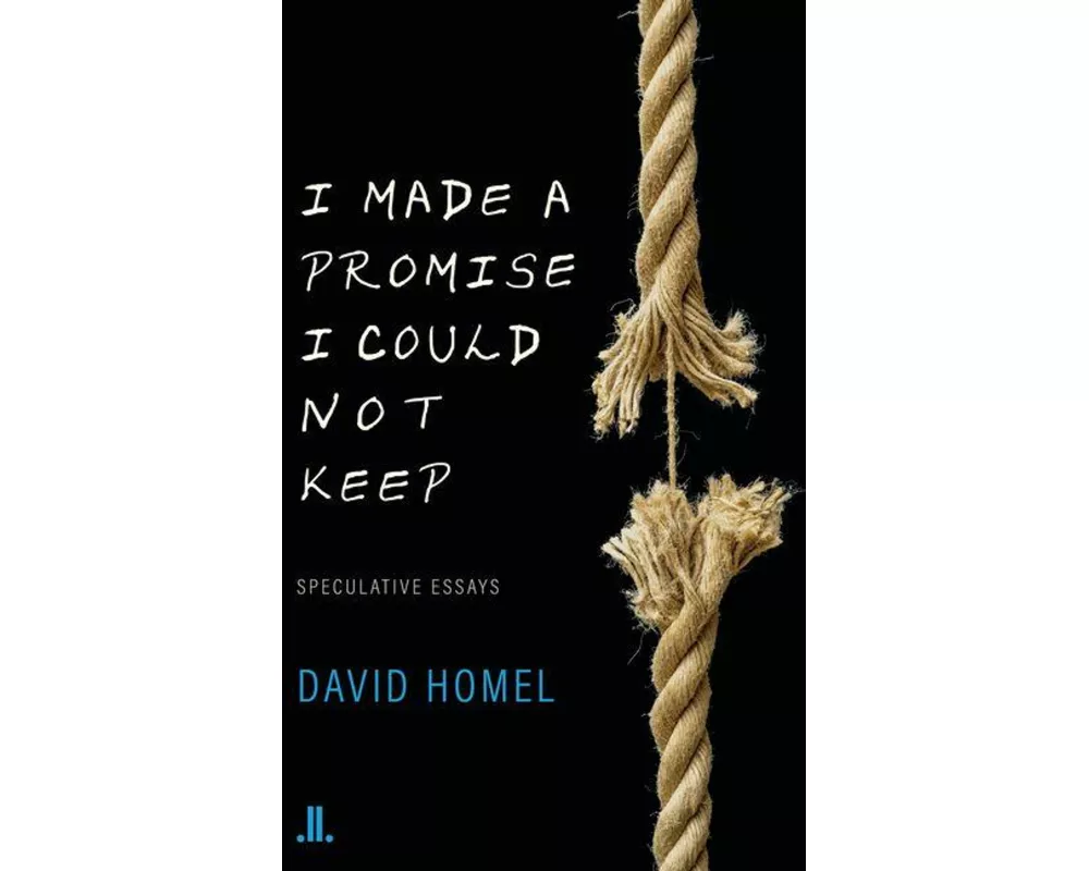 I Made a Promise I Could Not Keep