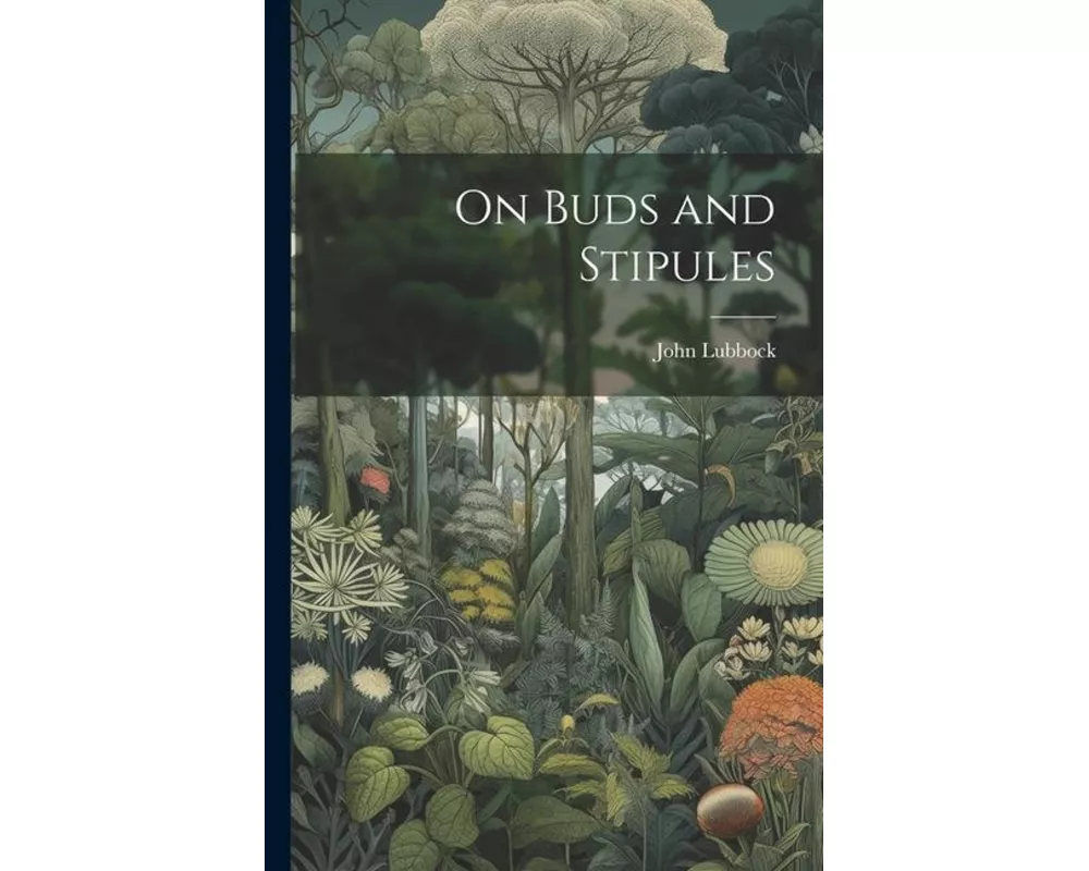 On Buds and Stipules