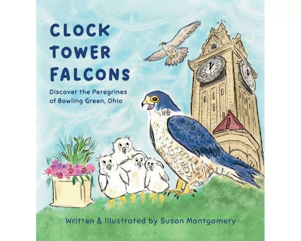 Clock Tower Falcons