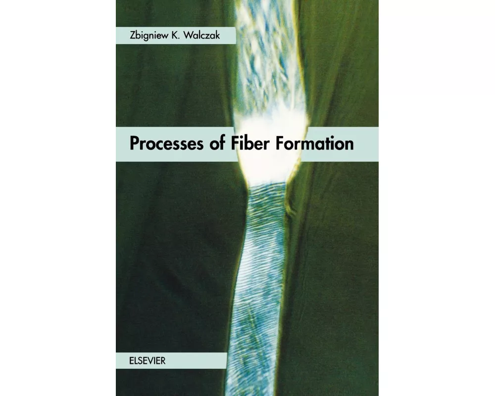 Processes of Fiber Formation