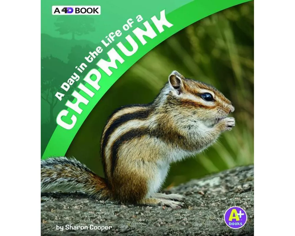 A Day in the Life of a Chipmunk