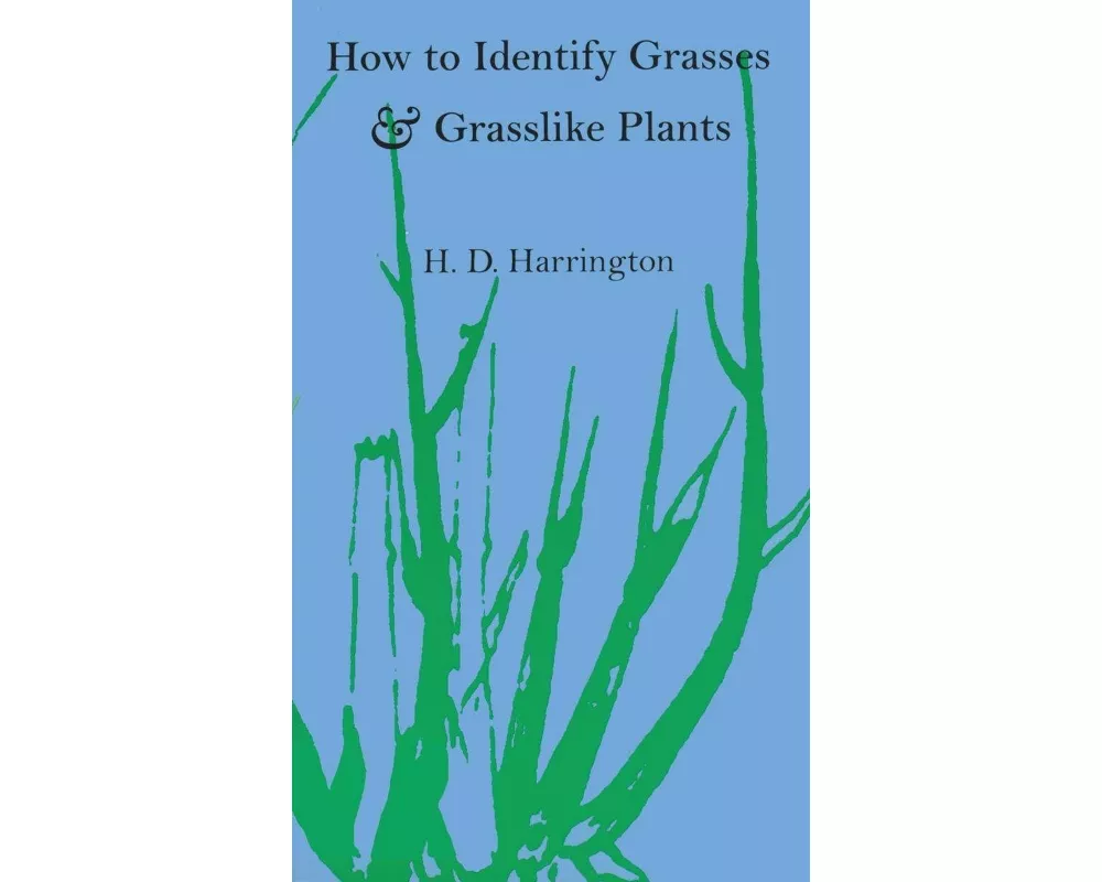 How to Identify Grasses and Grasslike Plants