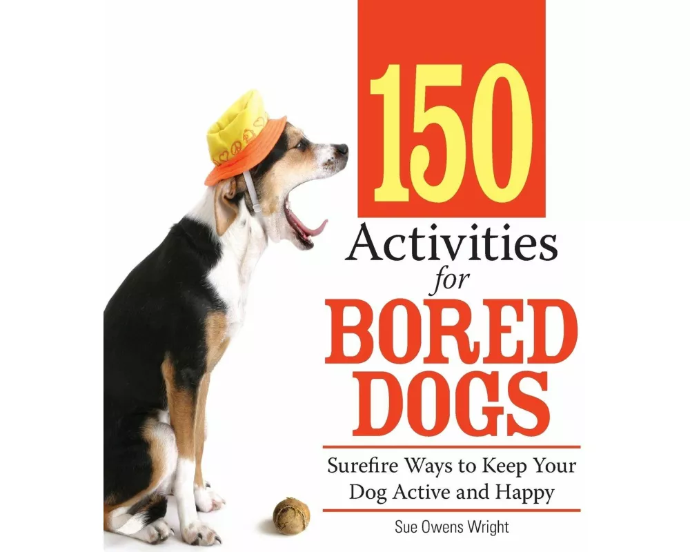 150 Activities for Bored Dogs